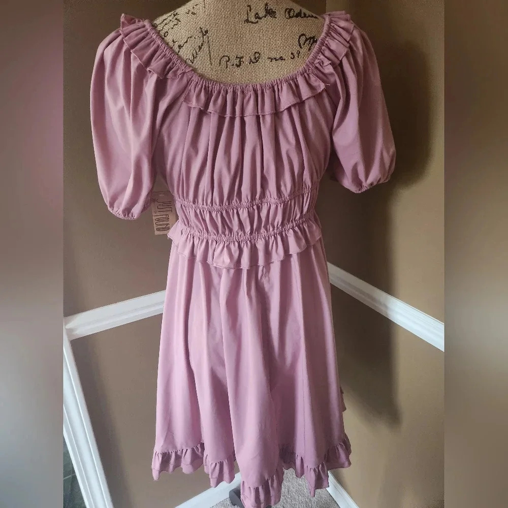 NWT Emery Pink‎ Just Found Frill Dress LG - Picture 4 of 11